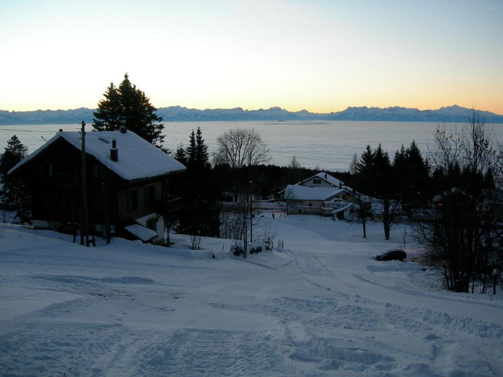 Le Coucou Et Chalet Beau-Site Hotel Les Rasses Kültér fotó
